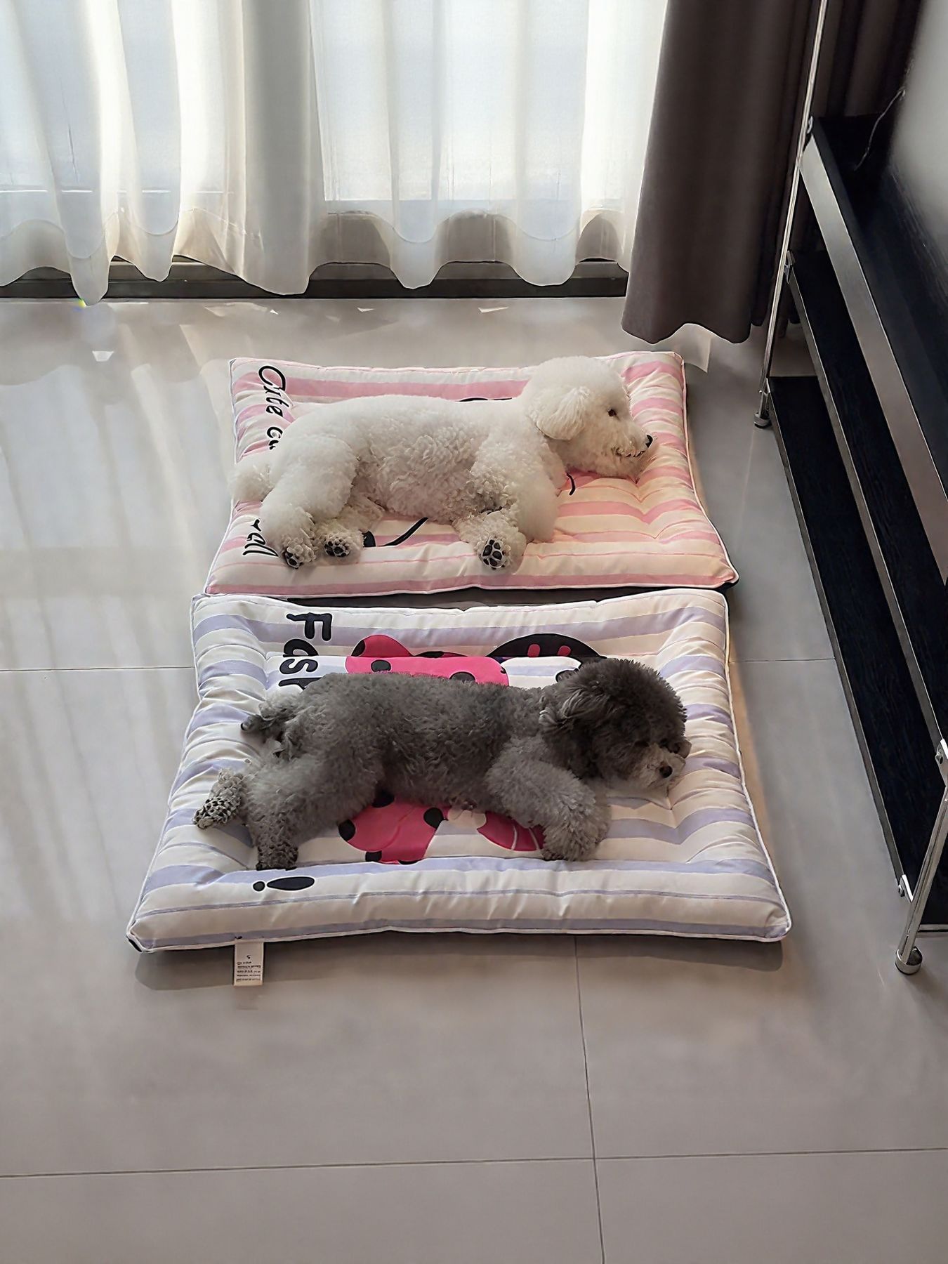 2ff6ba1b-6e22-43cc-a707-37a323aa2f50-Max