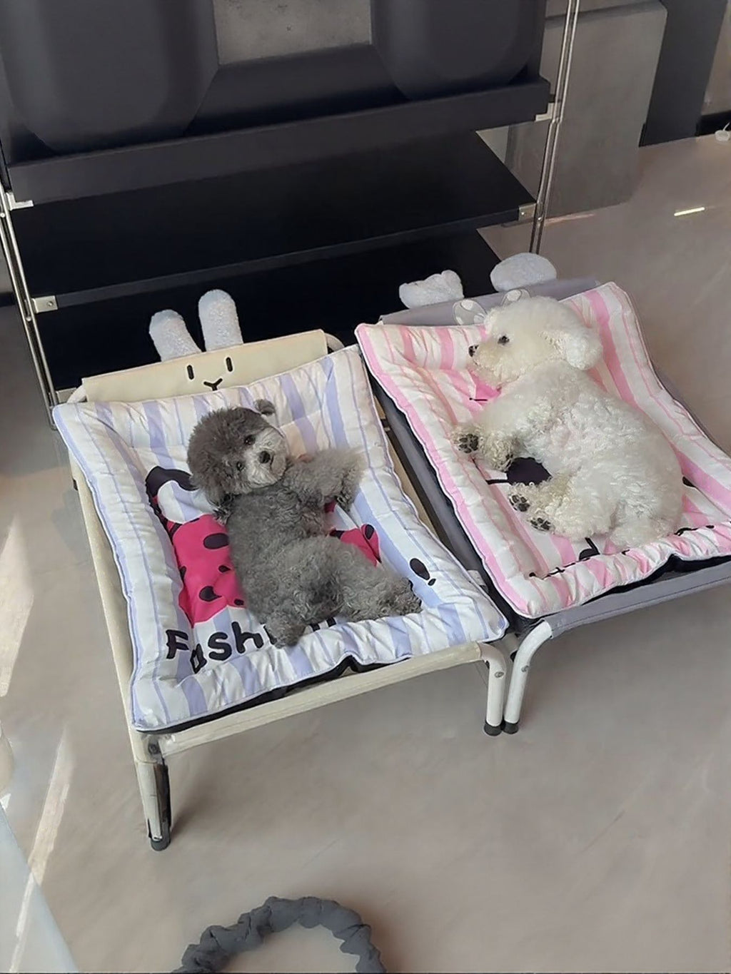 563bb7e3-558b-4d2f-bcfb-4f6677372b8d-Max