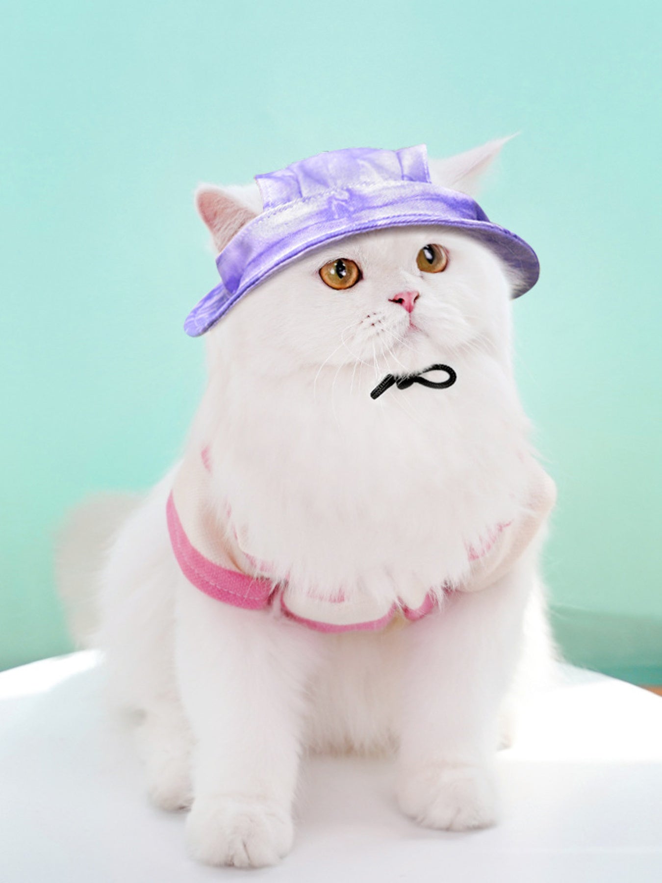 bc400bd727934ffbb81ebdcda39867de-Max