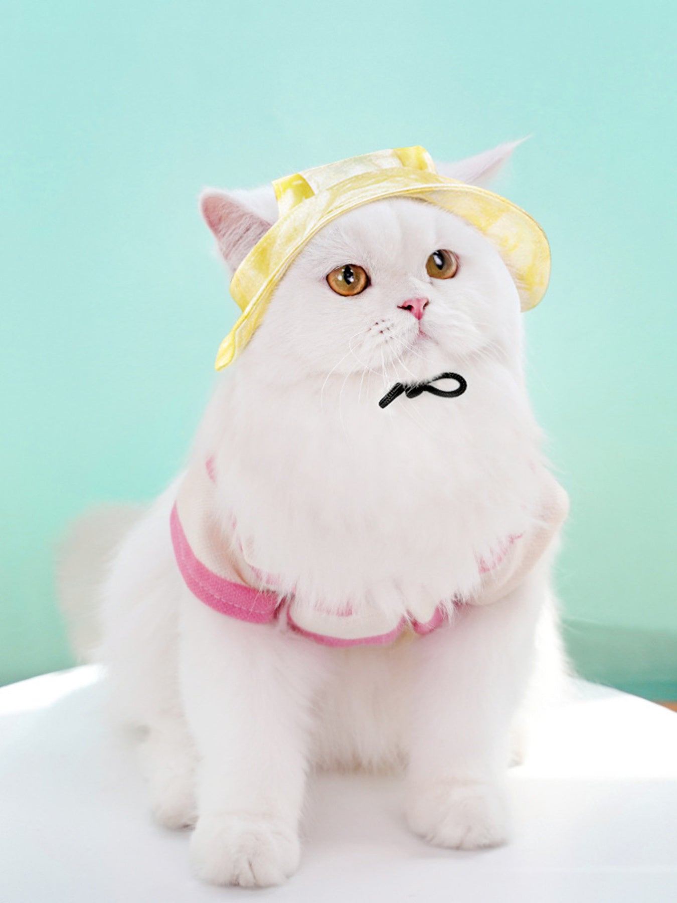 df4d2558186640438fcab619343ef912-Max