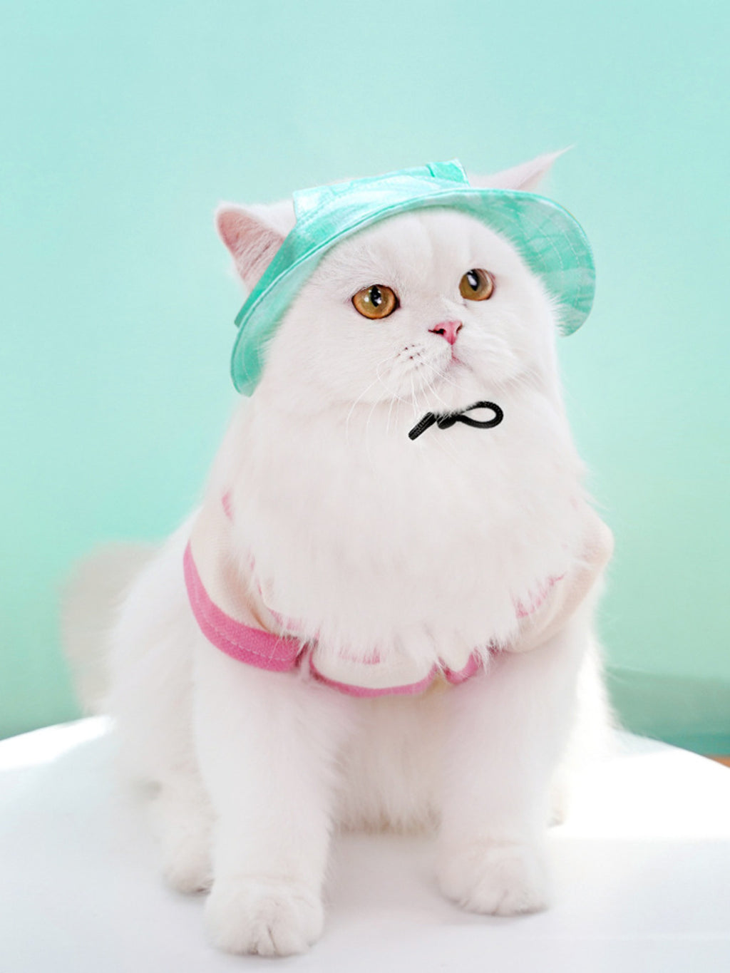 ebbf74706fdd4f908945fddda063e82f-Max